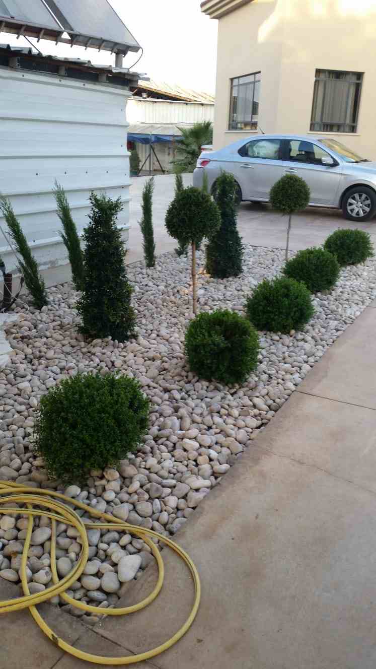 גינה מעוצבת עם חלוקי נחל