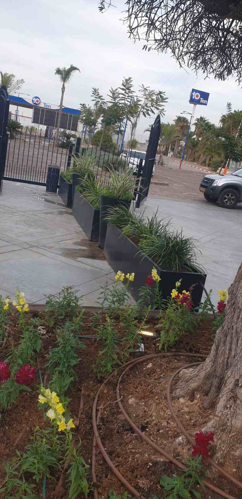 עיצוב גינה עם אלמנטים