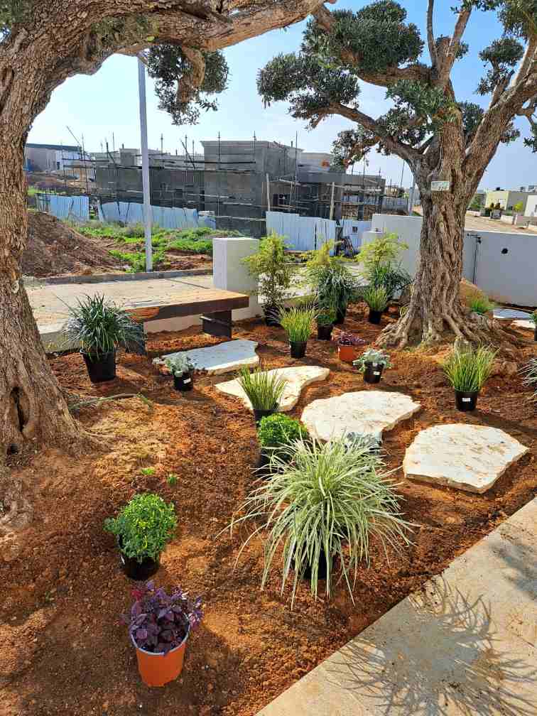 תכנון גינה ביתית