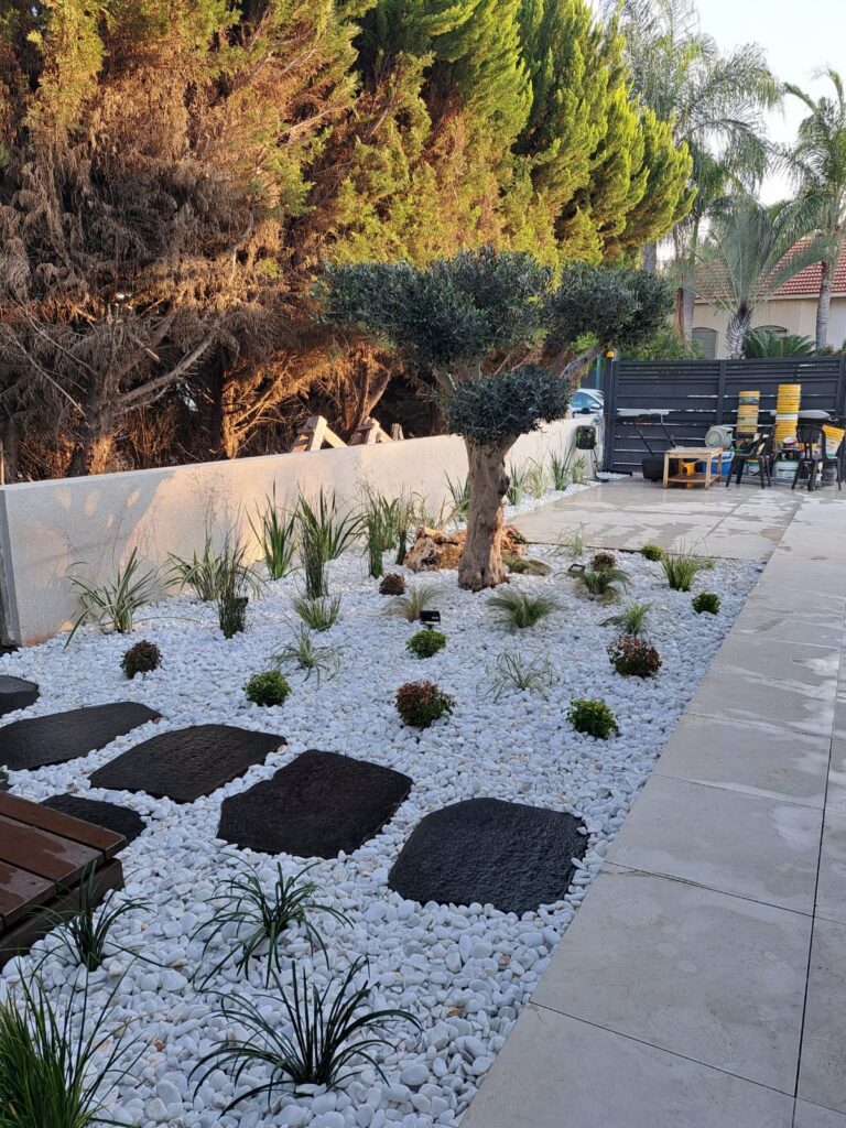 הקמת גינות מעוצבות וייחודיות