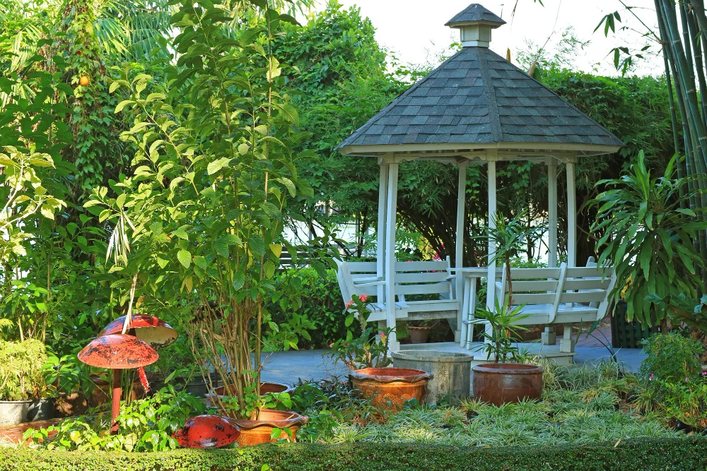 הקמת גינה פרטית עם דשא ועצים