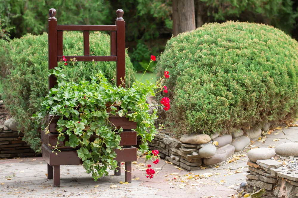 כמה עולה להקים גינה פרטית בישראל