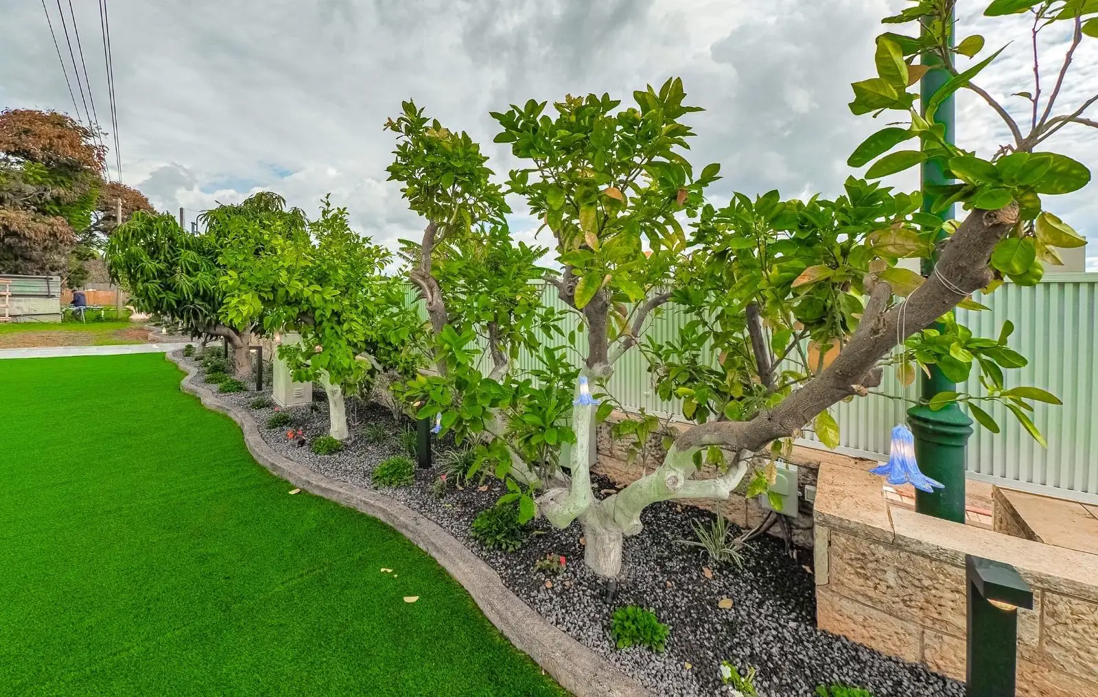 עיצוב גינות יפות בבית פרטי