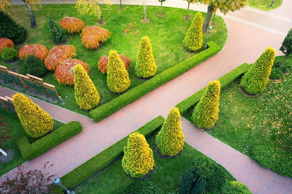 עיצוב גינת חוץ במרכז עם תאורה ושבילים