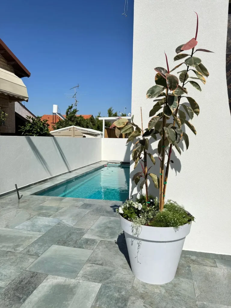 אדנית לצמחים בשמש מלאה