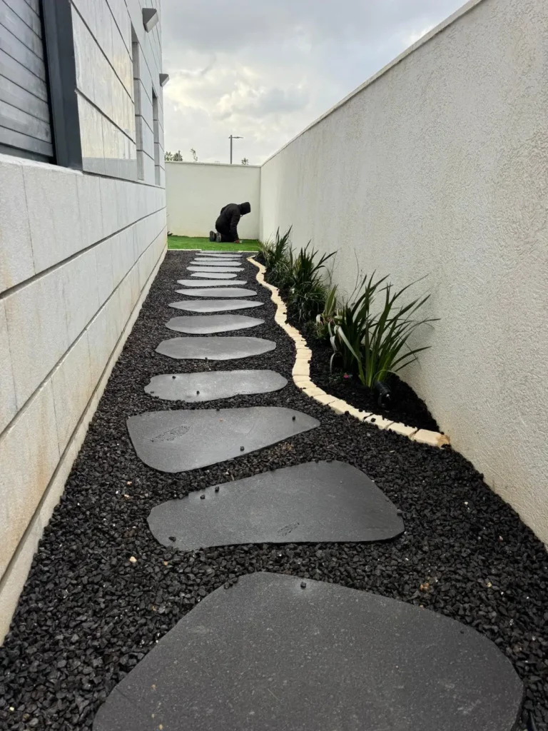 סוגי צמחים שמתאימים לגינה בשמש