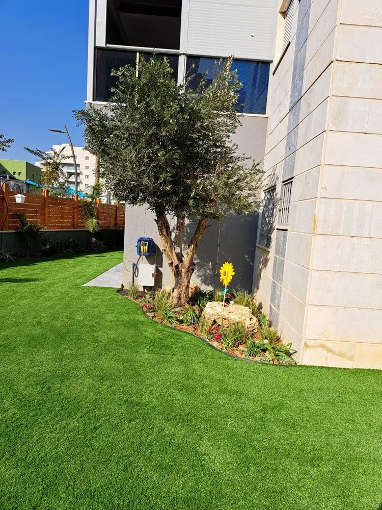 עיצוב גינה מודרנית עם קווים נקיים