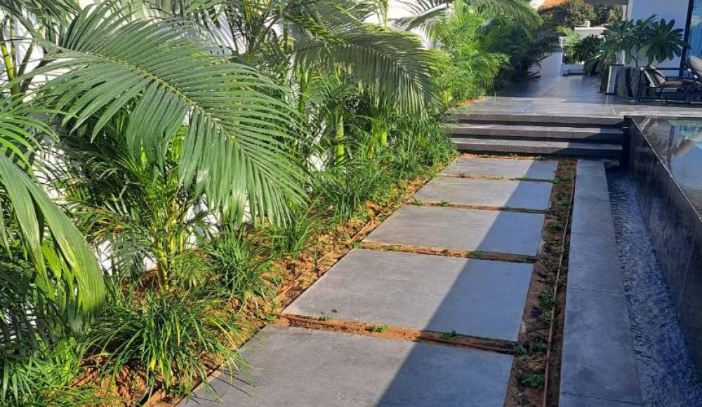 פרדייז גינון עיצוב גינות