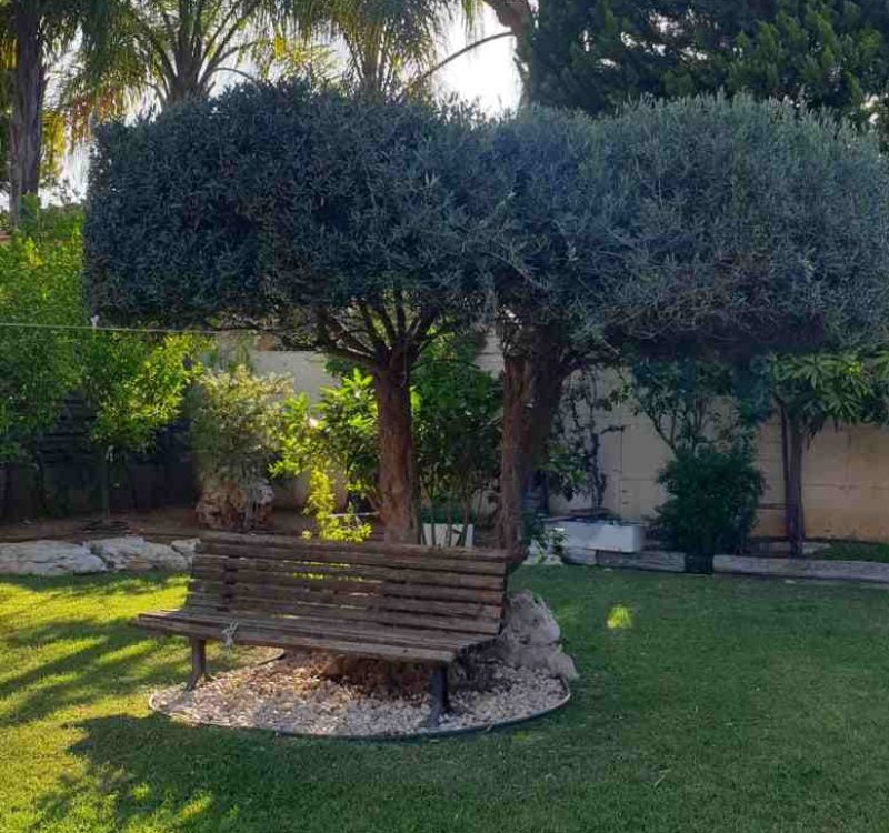 עיצוב גינות בבית פרטי