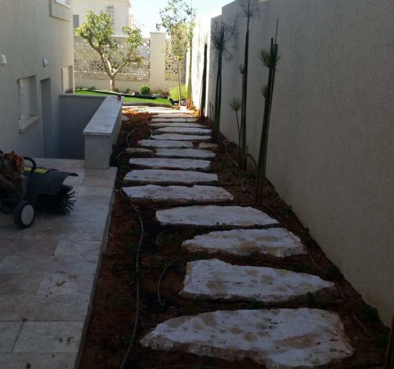 גינה מעוצבת בבית פרטי