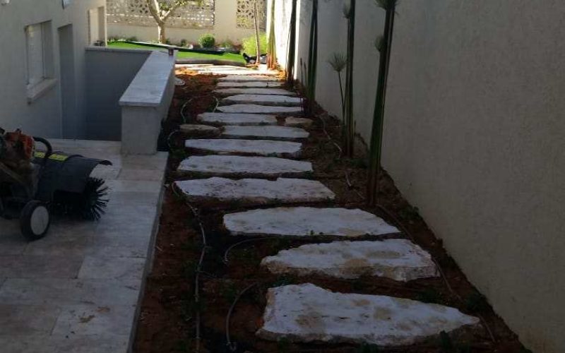 גינה מעוצבת בבית פרטי