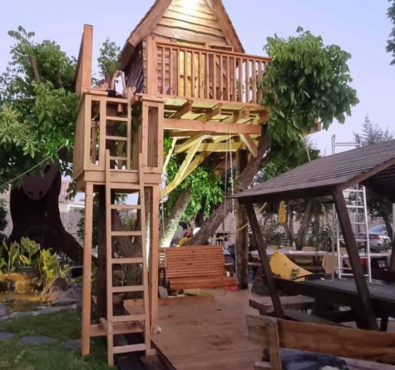 גינה מעוצבת עם אלמנטים