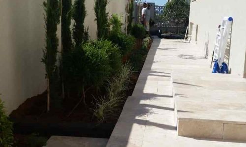 הקמת גינה מחיר