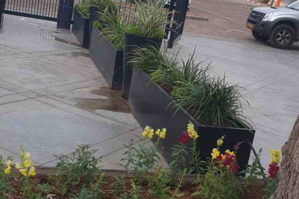 עיצוב גינה עם אלמנטים