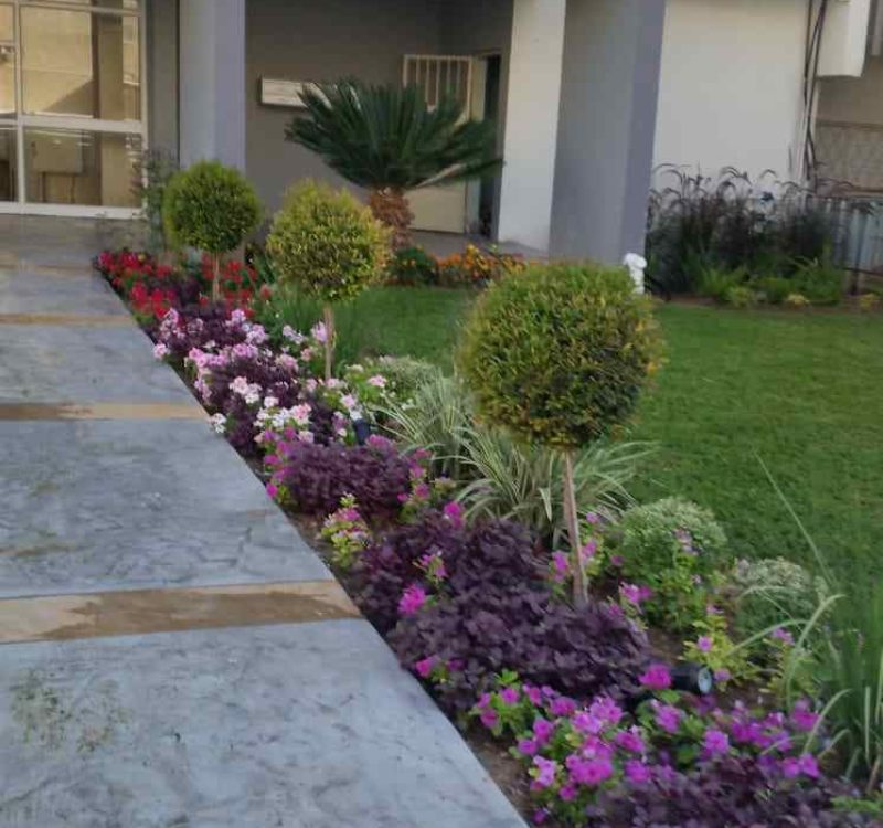 עיצוב גינות ציבוריות גן יבנה