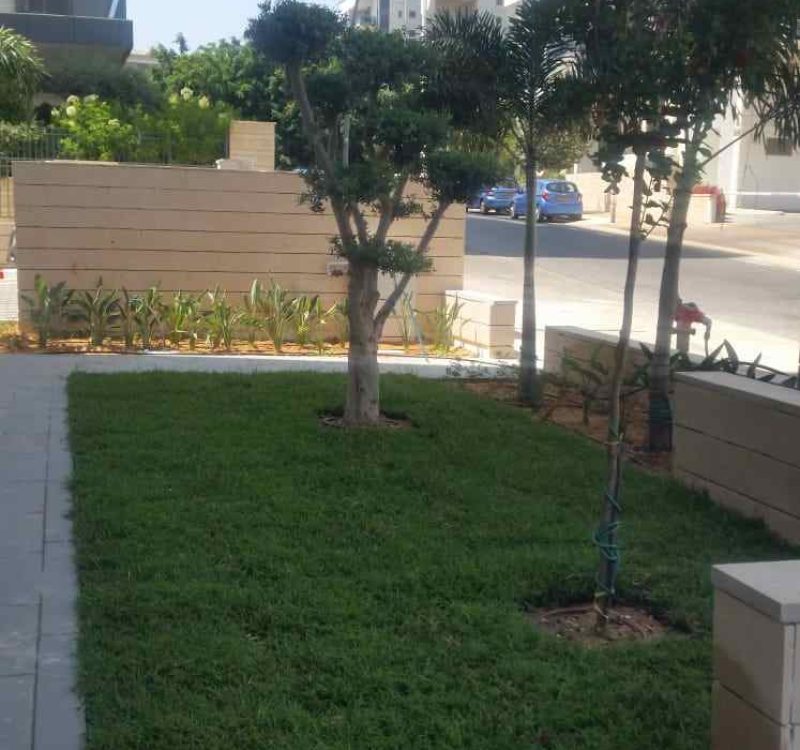 עיצוב גינות ציבוריות רמת גן