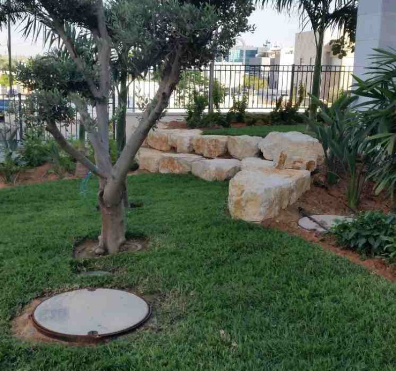 עיצוב גינות ציבוריות תל אביב