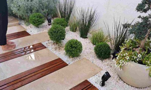 עלות הקמת גינה