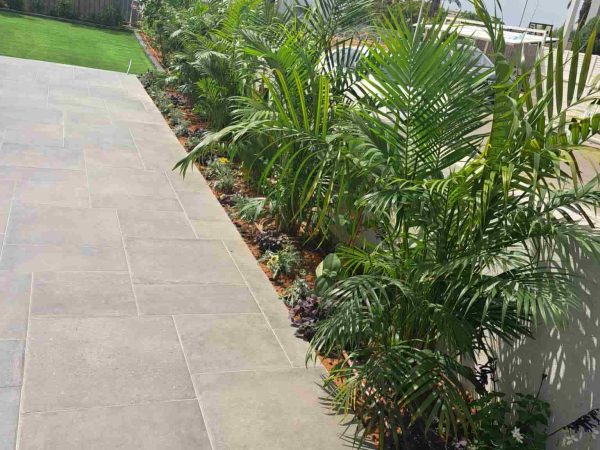 צמחייה בגינת יוקרה