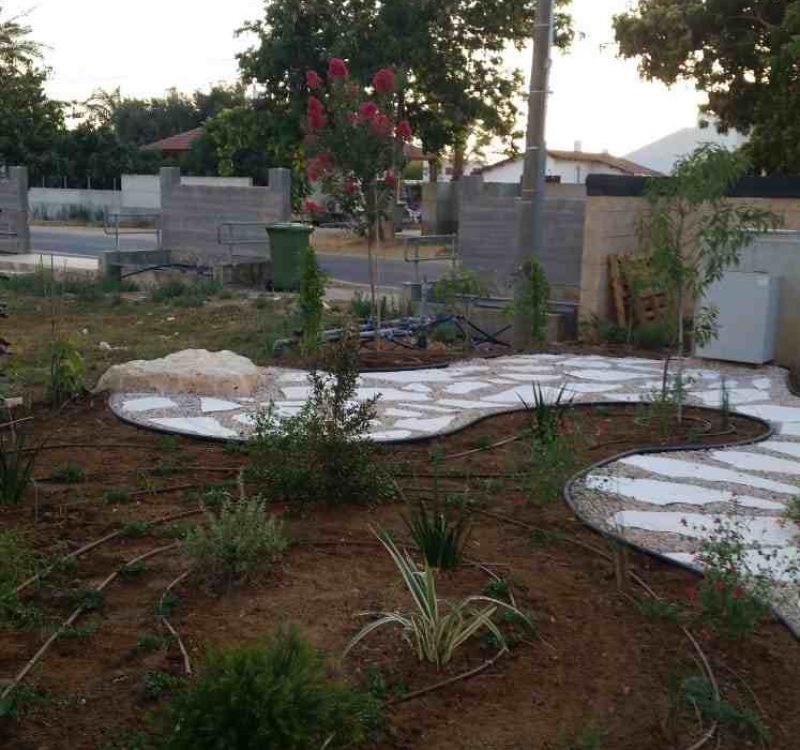 תהליכי עיצוב גינה ציבורית