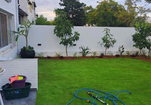 גינה בבית פרטי