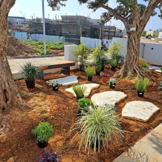 תכנון גינה ביתית